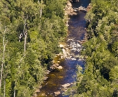 The Franklin River in Franklin-Gordon Wild Rivers National Park