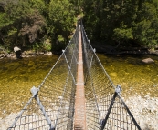 The swinging bridge over the Franklin River