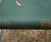 Paw prints on one of our chairs in the morning