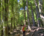 Lisa hiking through the forest around Lake Saint Clair