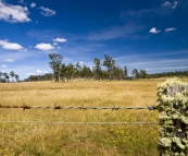 Countryside on the drive to Freycinet Peninsula