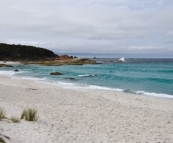 One of the beautiful beaches in the Bay of Fires Conservation Area