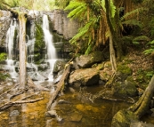 Lilydale Falls