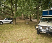 Camping at Lilydale Falls