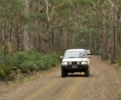 The road up to Ben Lomond National Park