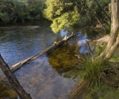 The South Esk River alongside Griffin Park camping area