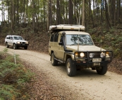 Making our way into Evercreech Forest