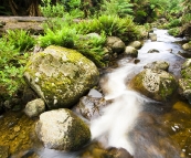 The picturesque cascades in Evercreech Forest