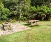 Camping facilities at Evercreech Forest