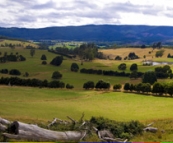 Beautiful farmland in the mountain valleys near Mount Victoria