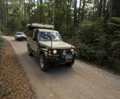 Driving into Mount Victoria Forest Reserve