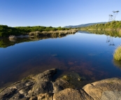 Morning light at Lagoons Beach camping ground