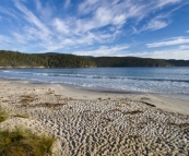 Fortescue Bay