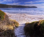 The walkway to the beach from our campground at Fortescue Bay