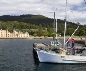 Crayfishing boats docked at Port Arthur