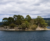 The Isle of the Dead