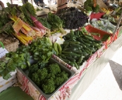 Salamanca Markets