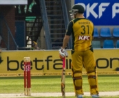 David Warner