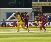 Shane Watson
