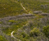 The hike toward Tasman Head from Cloudy Bay