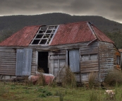Delapidated houses on South Bruny Island