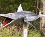 Eclectic mail boxes on the road between Cloudy Bay and Adventure Bay