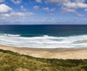 Panormaic of The Neck looking east