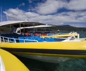Bruny Island Cruises