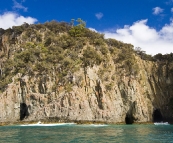 Caves along Fluted Cape