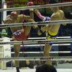 Muay Thai fighting at Lumphini Stadium