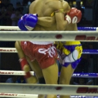 Muay Thai fighting at Lumphini Stadium