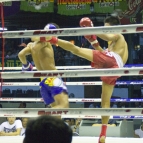 Muay Thai fighting at Lumphini Stadium