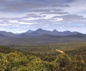 The Stirling Range