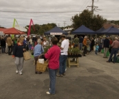 Albany Farmer's Market