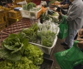 Fresh fruit and vegetables at the Albany Farmer's Market