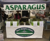 Albany Farmer's Market