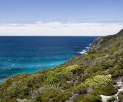 Lighthouse in Torndirrup National Park