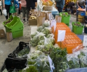 Fresh fruit and vegetables at the Boat Shed Markets