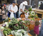 Fresh fruit and vegetables at the Boat Shed Markets