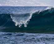 Locals enjoying the reef break at Betty's Beach