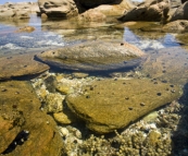 Tide pools at Munglinup Reef