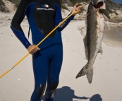 Sam with the mother of all Morwongs at Munglinup Reef