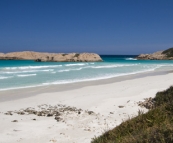 Twilight Beach along the Great Ocean Drive (voted Australia's best beach in 2006)