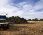 Camping amongst the Mallee scrub on the Nullarbor Plain