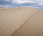 Striking white sand dunes at Eucla National Park