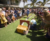 Crab races on Melbourne Cup Day at Ningaloo Reef Resort