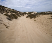 The sandy track on the way to Five Finger Reef that almost had us all walking back to Coral Bay!