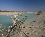 Cootenbrand Creek at Cape Keraudren