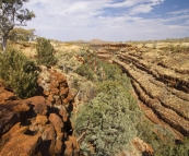 View of Dales Gorge from the trailhead to Fortescue Falls