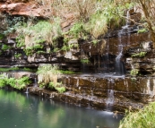 The ferns and waterfall surrounding Circular Pool in Dales Gorge